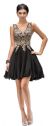 Sleeveless Embroidered Bodice Short Homecoming Party Dress in Black